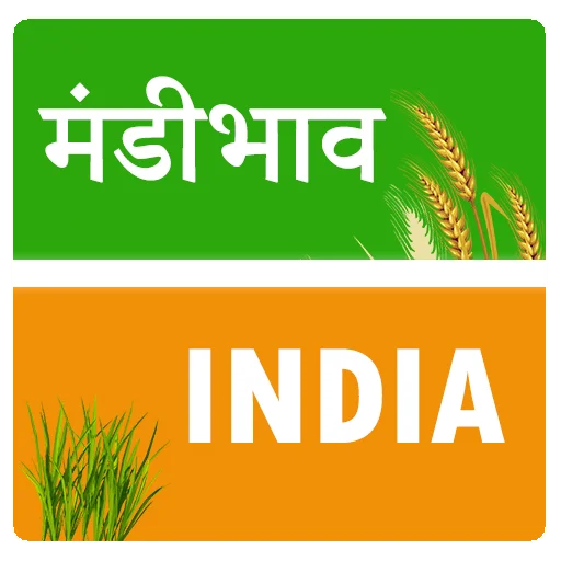 Mandi Bhav India